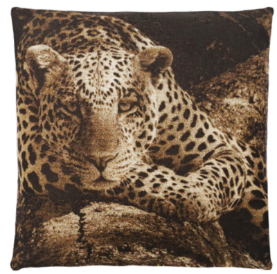 leopardi2.png&width=400&height=500