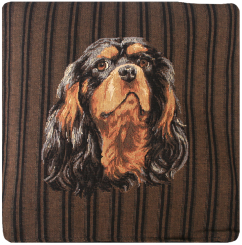 spaniel1.png&width=400&height=500